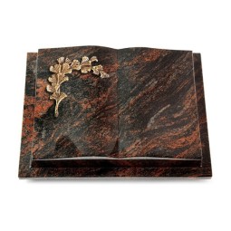 Grabbuch Livre Podest/Aruba Gingozweig 2 (Bronze)