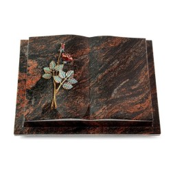 Grabbuch Livre Podest/Aruba Rose 5 (Color)