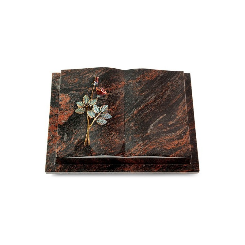 Grabbuch Livre Podest/Aruba Rose 5 (Color)