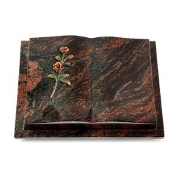 Grabbuch Livre Podest/Aruba Rose 6 (Color)