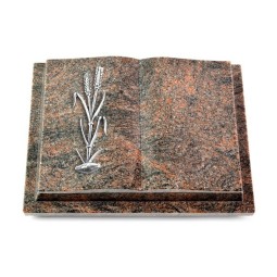 Grabbuch Livre Podest/Himalaya Ähren 2 (Alu)