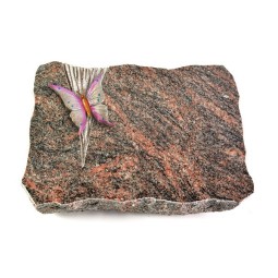 Grabplatte Himalaya Delta Papillon 1 (Color)