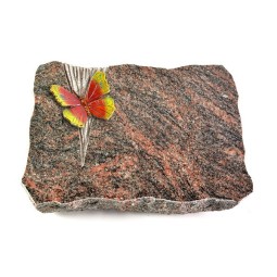 Grabplatte Himalaya Delta Papillon 2 (Color)