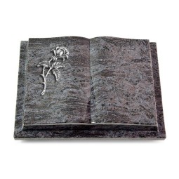 Grabbuch Livre Podest/Orion Rose 2 (Alu)