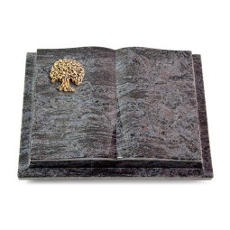 Grabbuch Livre Podest/Orion Baum 3 (Bronze)