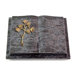 Grabbuch Livre Podest/Orion Gingozweig 1 (Bronze)