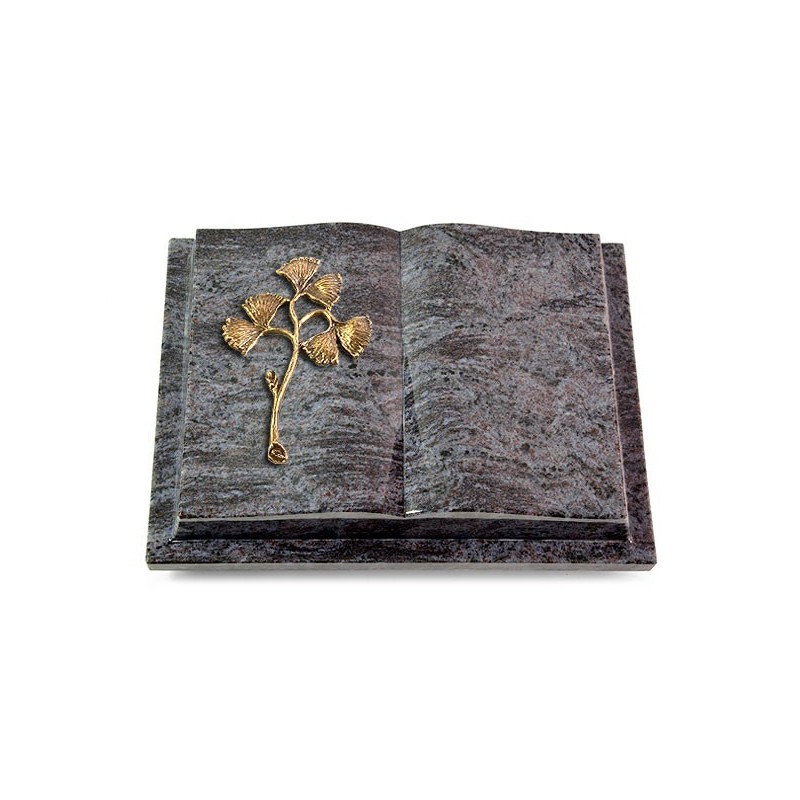 Grabbuch Livre Podest/Orion Gingozweig 1 (Bronze)