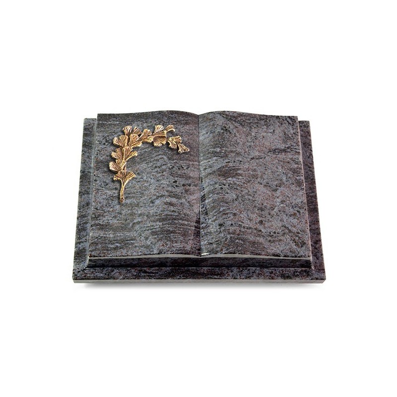 Grabbuch Livre Podest/Orion Gingozweig 2 (Bronze)