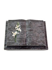 Grabbuch Livre Podest/Orion Orchidee (Color)