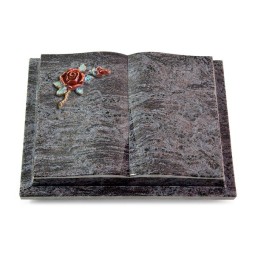 Grabbuch Livre Podest/Orion Rose 1 (Color)