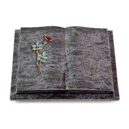 Grabbuch Livre Podest/Orion Rose 4 (Color)