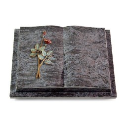 Grabbuch Livre Podest/Orion Rose 5 (Color)