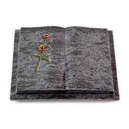 Grabbuch Livre Podest/Orion Rose 6 (Color)