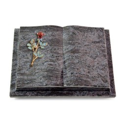 Grabbuch Livre Podest/Orion Rose 7 (Color)