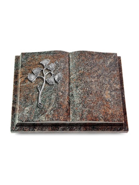 Grabbuch Livre Podest/Paradiso Gingozweig 1 (Alu)