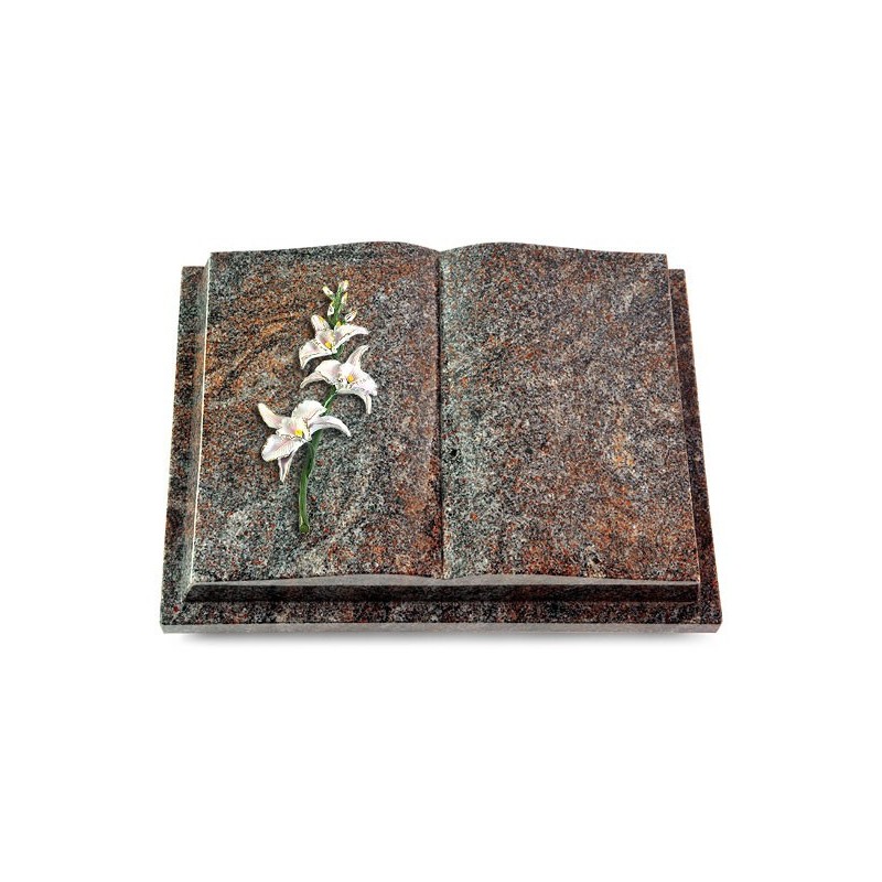 Grabbuch Livre Podest/Paradiso Orchidee (Color)