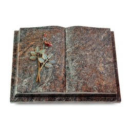 Grabbuch Livre Podest/Paradiso Rose 5 (Color)