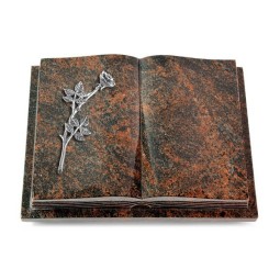 Grabbuch Livre Podest Folia/Aruba Rose 9 (Alu)