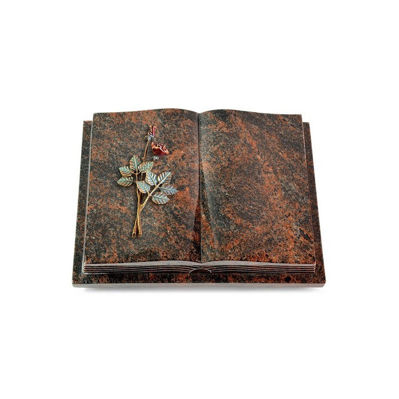 Grabbuch Livre Podest Folia/Aruba Rose 5 (Color)