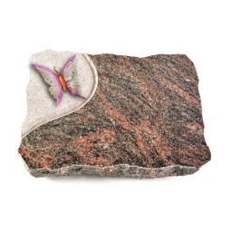 Grabplatte Himalaya Folio Papillon 1 (Color)