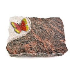 Grabplatte Himalaya Folio Papillon 2 (Color)