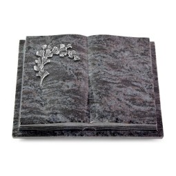 Grabbuch Livre Podest Folia/Orion Gingozweig 2 (Alu)