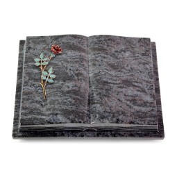 Grabbuch Livre Podest Folia/Orion Rose 4 (Color)