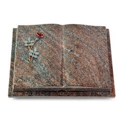 Grabbuch Livre Podest Folia/Paradiso Rose 4 (Color)