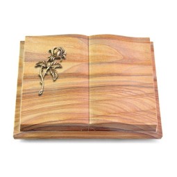 Grabbuch Livre Podest Folia/Rainbow Rose 2 (Bronze)