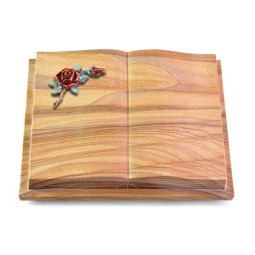 Grabbuch Livre Podest Folia/Rainbow Rose 1 (Color)