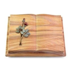 Grabbuch Livre Podest Folia/Rainbow Rose 5 (Color)