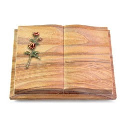 Grabbuch Livre Podest Folia/Rainbow Rose 6 (Color)
