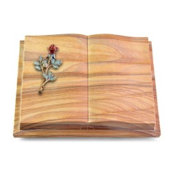 Grabbuch Livre Podest Folia/Rainbow Rose 7 (Color)