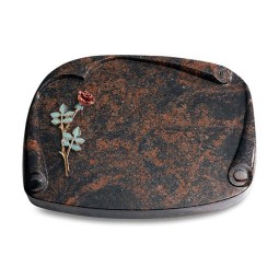 Grabbuch Papyros/Aruba Rose 4 (Color)