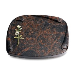 Grabbuch Papyros/Aruba Rose 8 (Color)