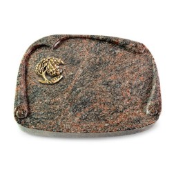 Grabbuch Papyros/Himalaya Baum 1 (Bronze)