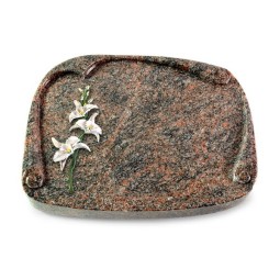 Grabbuch Papyros/Himalaya Orchidee (Color)