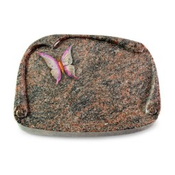 Grabbuch Papyros/Himalaya Papillon 1 (Color)