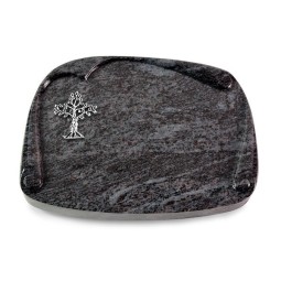 Grabbuch Papyros/Orion Baum 2 (Alu)