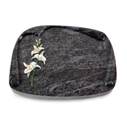 Grabbuch Papyros/Orion Orchidee (Color)