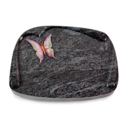 Grabbuch Papyros/Orion Papillon 1 (Color)