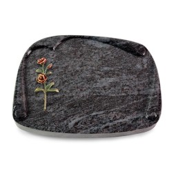 Grabbuch Papyros/Orion Rose 6 (Color)