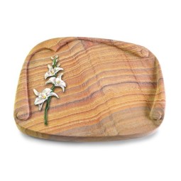 Grabbuch Papyros/Rainbow Orchidee (Color)