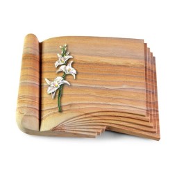 Grabbuch Prestige/Rainbow Orchidee (Color)