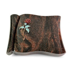 Grabbuch Voltaire/Aruba Rose 2 (Color)