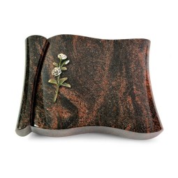 Grabbuch Voltaire/Aruba Rose 8 (Color)