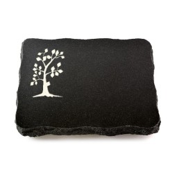 Grabplatte Indisch Black Pure Baum 1