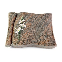 Grabbuch Voltaire/Himalaya Orchidee (Color)