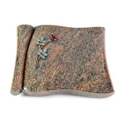 Grabbuch Voltaire/Himalaya Rose 4 (Color)