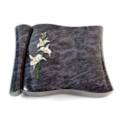 Grabbuch Voltaire/Orion Orchidee (Color)